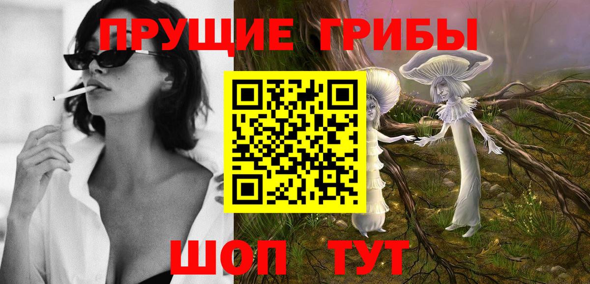 Псилоцибиновые грибы Psilocybe Нижний Тагил